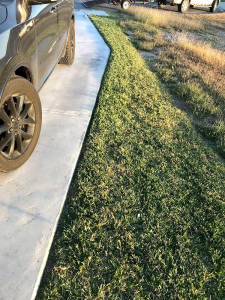 David & Sons Lawn Care