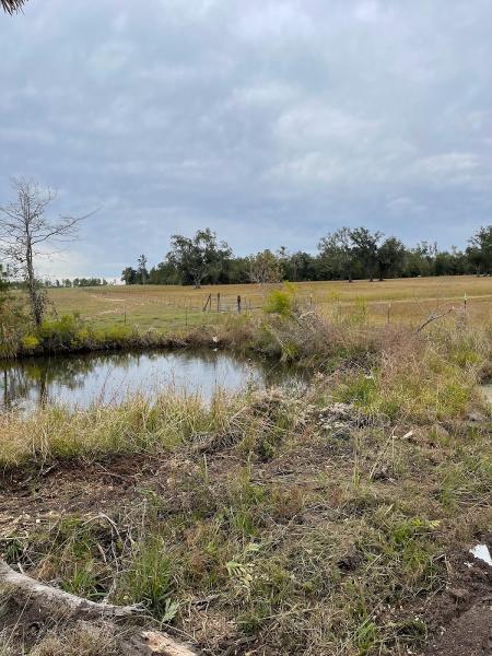 Rltw Land Clearing