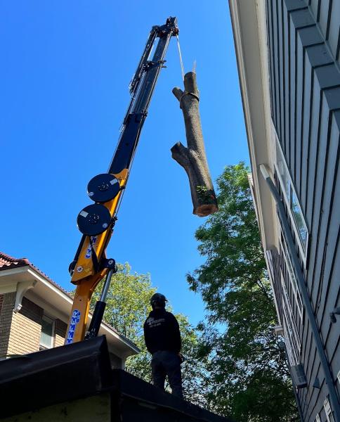 Rana Tree Removal LLC