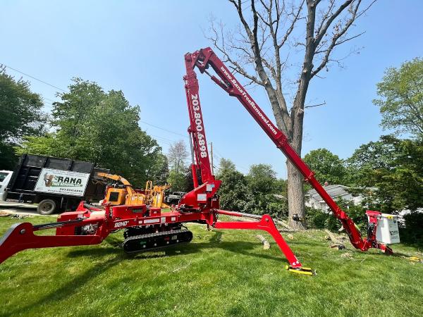 Rana Tree Removal LLC