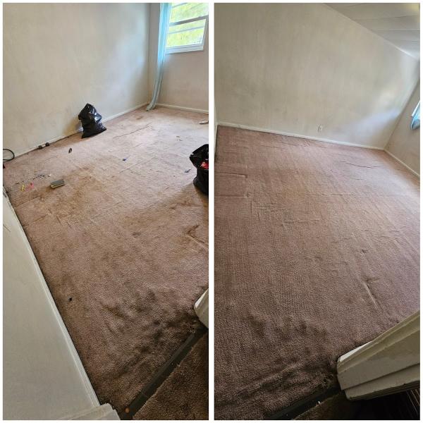 Premier Carpet Care