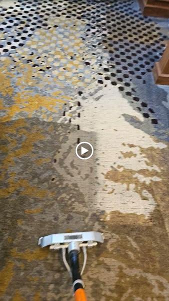 Premier Carpet Care