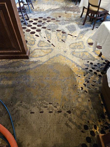 Premier Carpet Care
