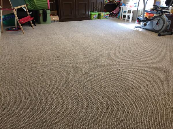 Better Than Ever Carpet Care