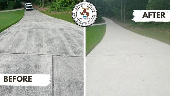 Spruce Moose Pressure Washing