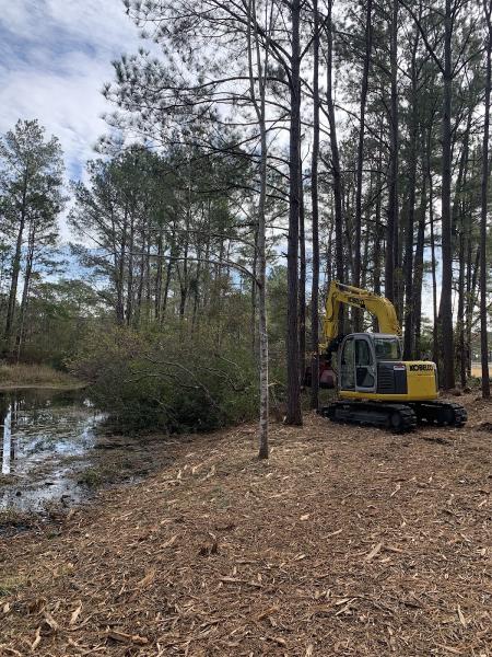 Bohl Excavation and Land Clearing