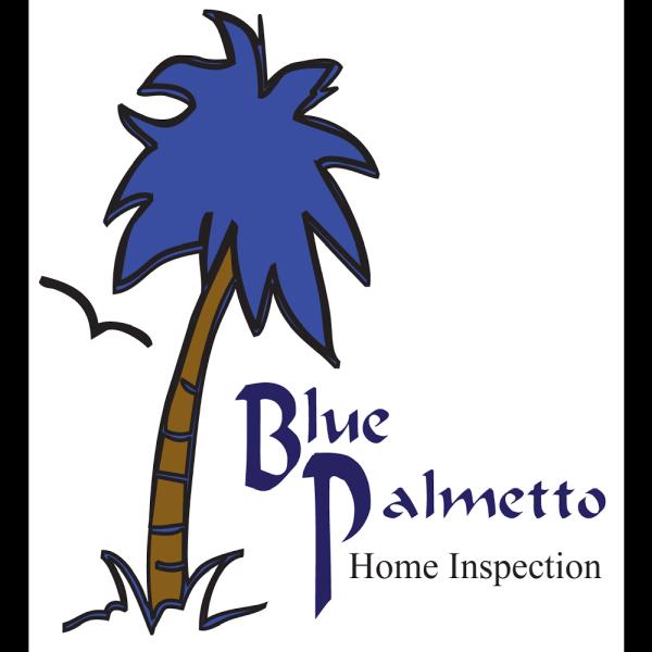 Blue Palmetto Home Inspection