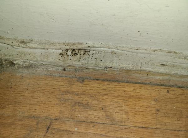 Easy Way Pest Control