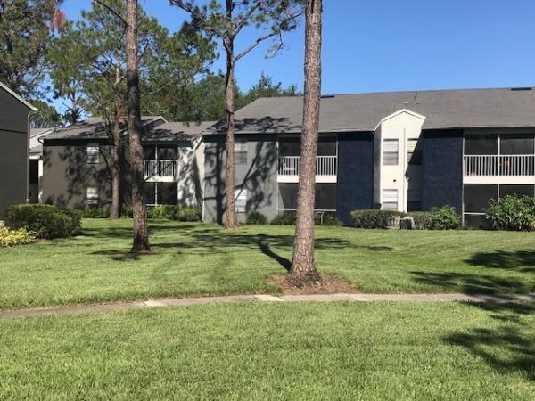 Affordable Quality Painting