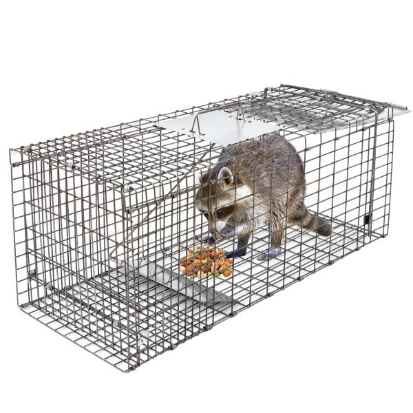 Topper's Wildlife Removal