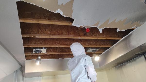 Dansel Restoration INC