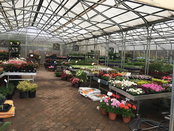 Ed's Plant World