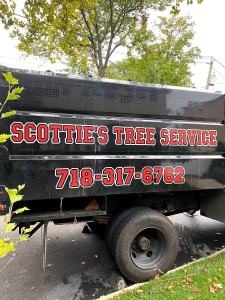 Scottie's Tree Service
