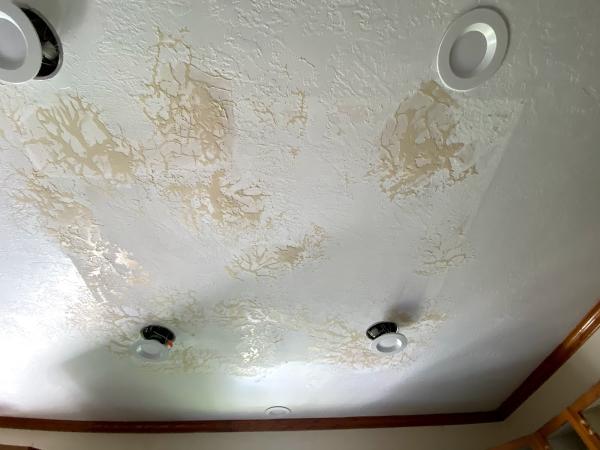 Royalty Drywall