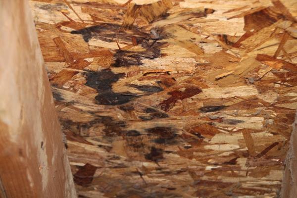 Eratech Environmental Inc