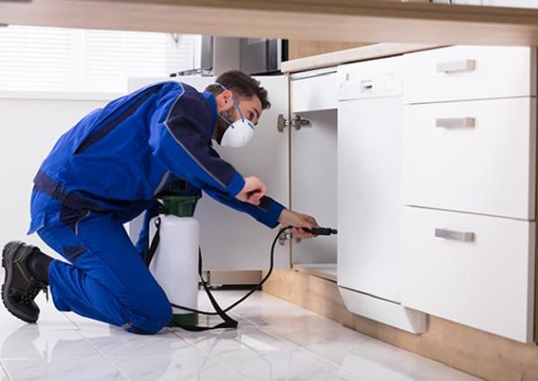 Prudente Pest Control