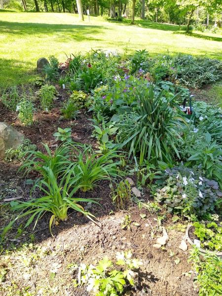 Grasshopper Garden Escapes