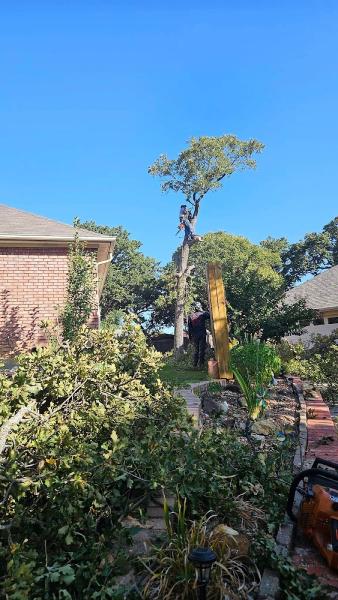 Trussell's Landscaping and Tree Service