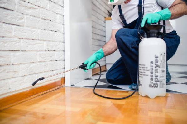 Delcambre Pest Control
