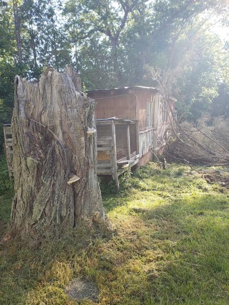 Greater Bangor Area Stump Grinding and Removal