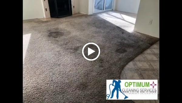 Optimum Cleaning Services
