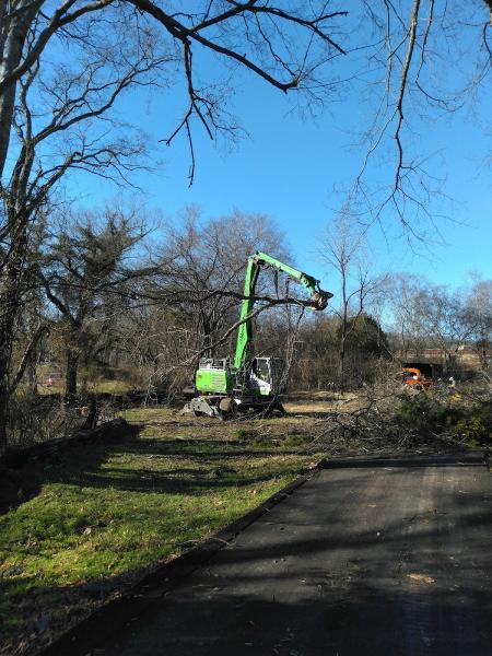 Knock on Wood Tree Services