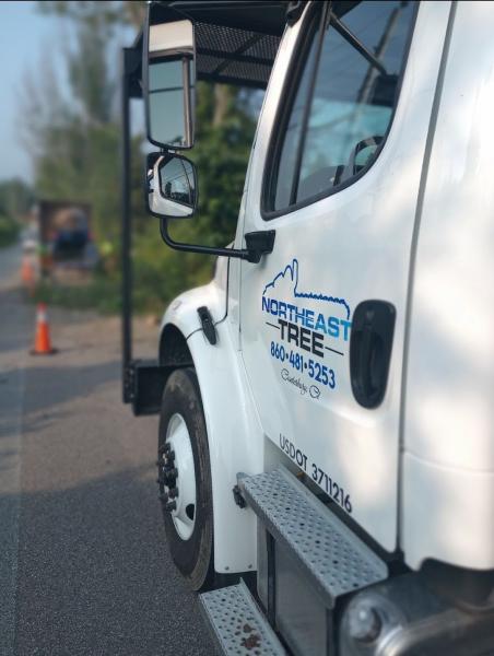 Northeast Tree LLC