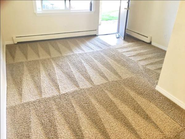 Cleantech Carpet & Furniture Cleaning