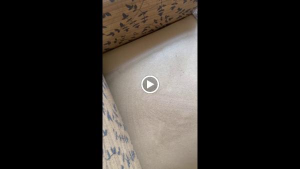 Cleaner Carpets and Surfaces