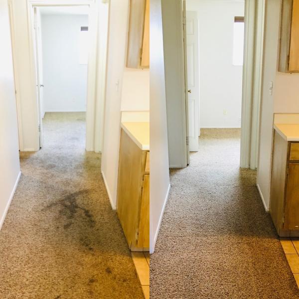 Cleaner Carpets and Surfaces