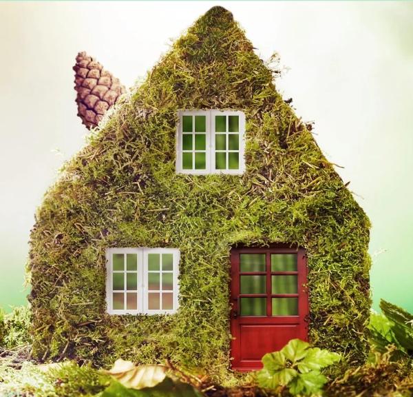 Green Home Cleaning