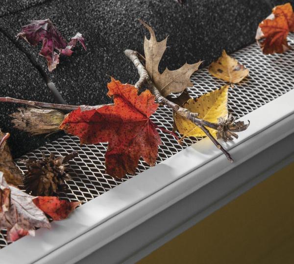 Flush the Guts Gutter Cleaning and Guards