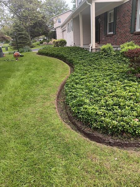 Francisco's Landscaping