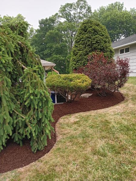 Francisco's Landscaping