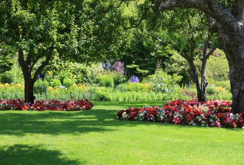 Oly Landscape Construction California