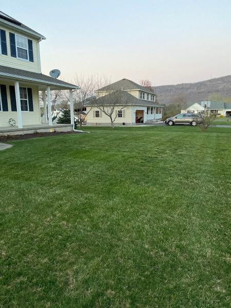 Landscaping That Fitz