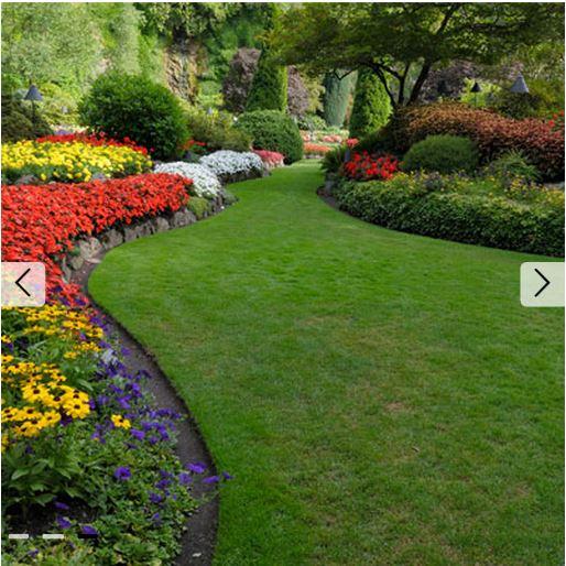 TM Irrigation & Landscaping