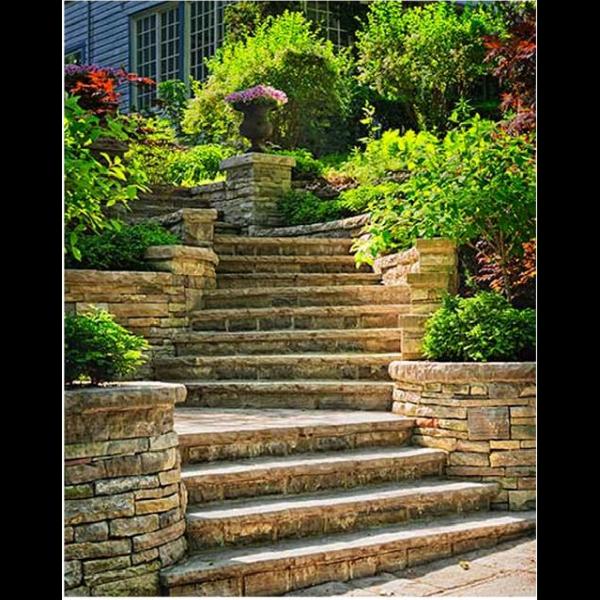 TM Irrigation & Landscaping