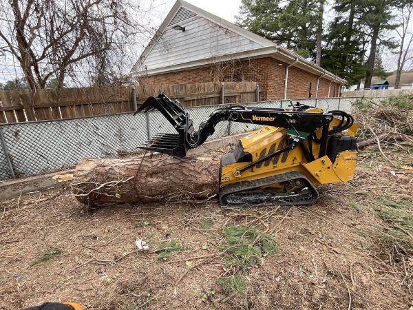 Stump Chumps Grinding & Removal