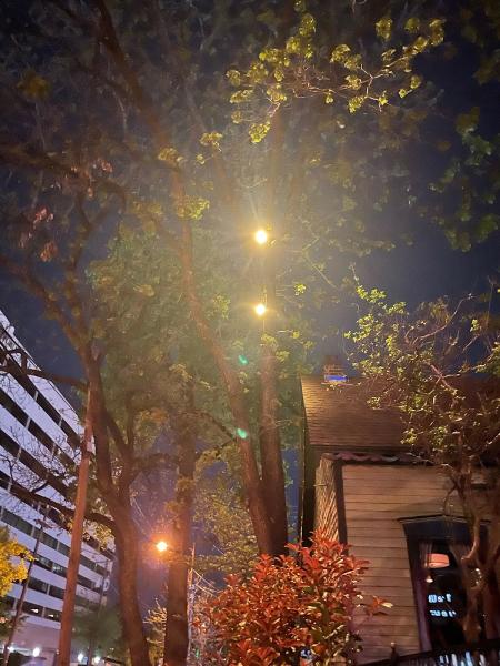 Tree Pros & Landscaping