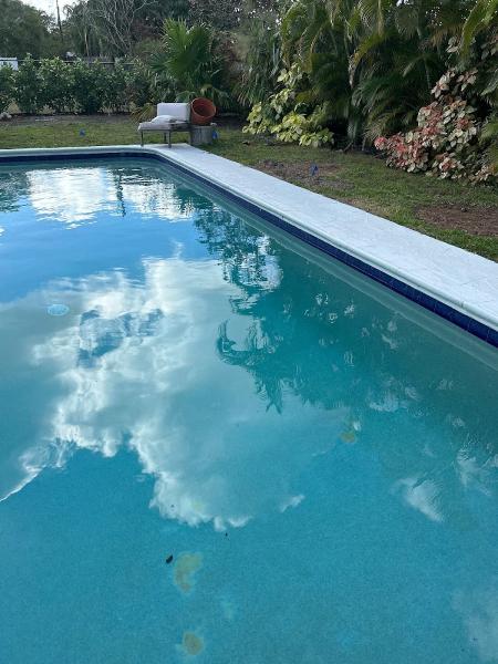 Dolphin Pools & Patios