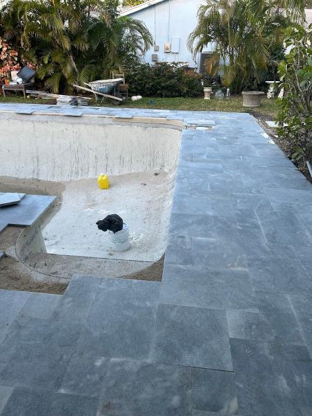 Dolphin Pools & Patios