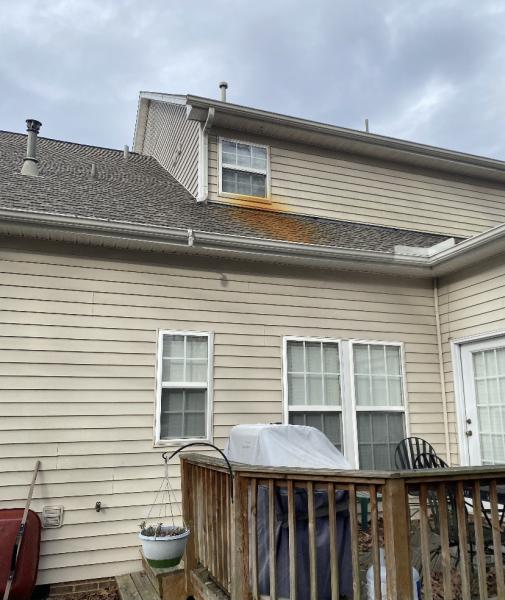 Davis Pressure Washing