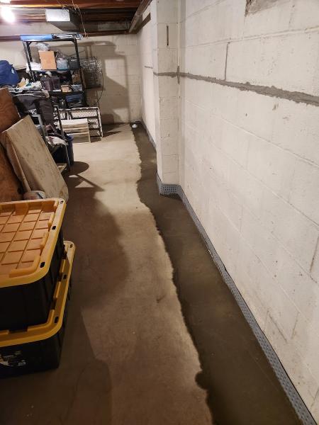 Basement Gurus