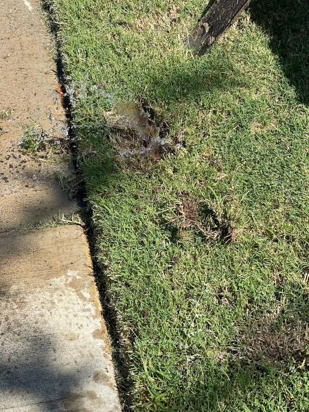 Sprinklers Repair Landscape