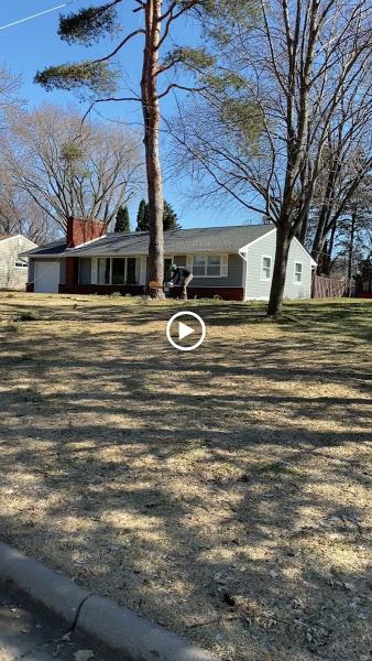 Renstrom Tree Service