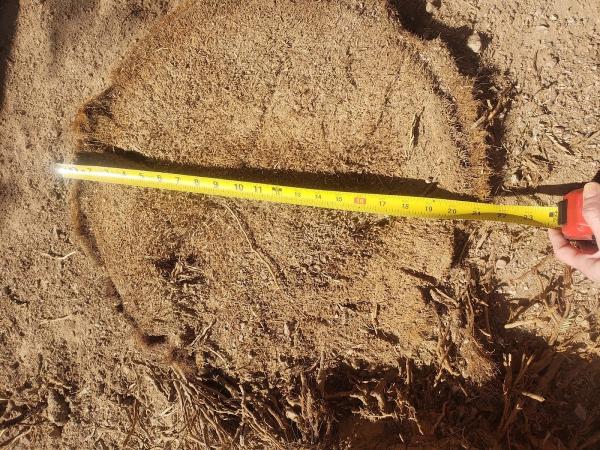 Brett's Stump Removal Services
