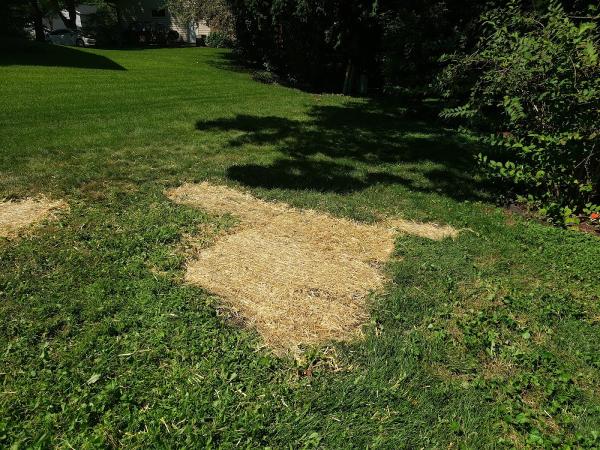Freiberg's Hardscaping