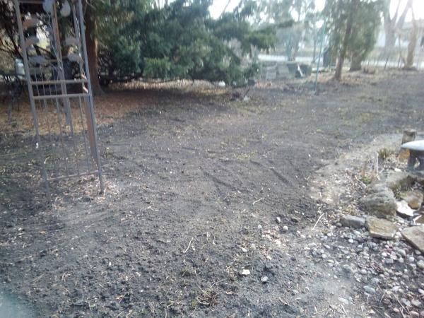 Freiberg's Hardscaping