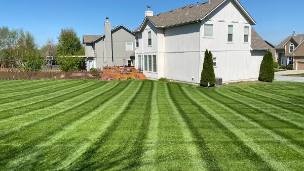 Brown Brothers' Lawn Care